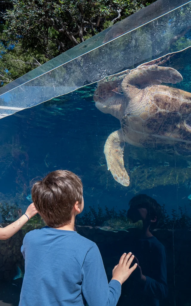 Visite du Musée Oceanographique de Monaco en famille
