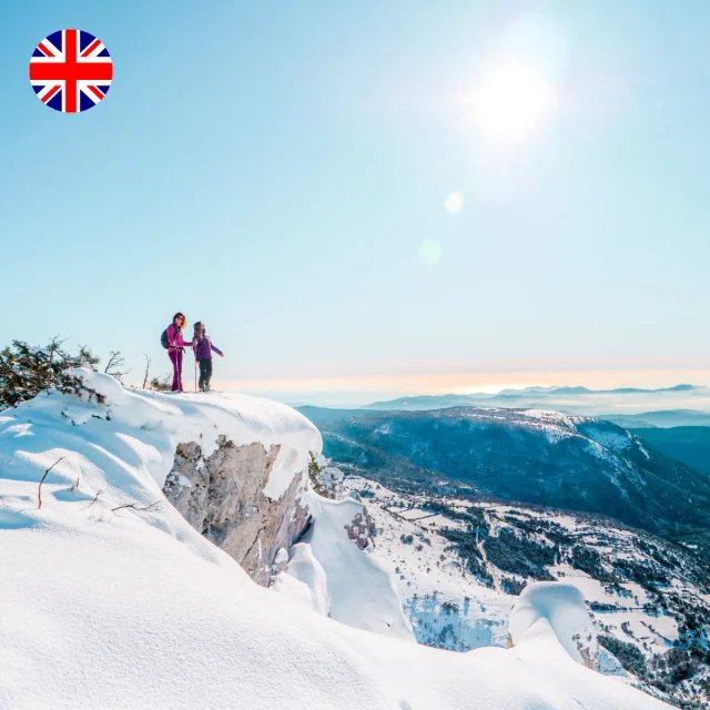 Design Sans Titre 47