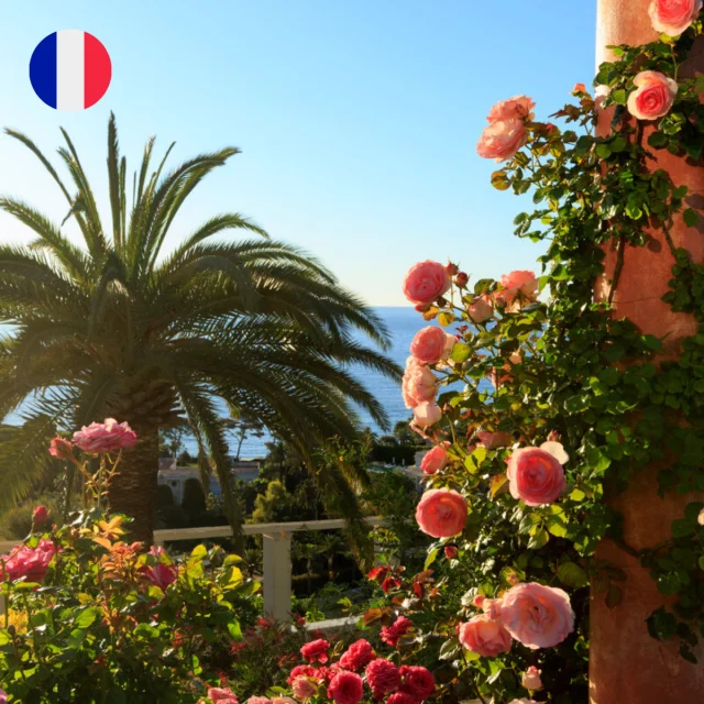 Design Sans Titre 52