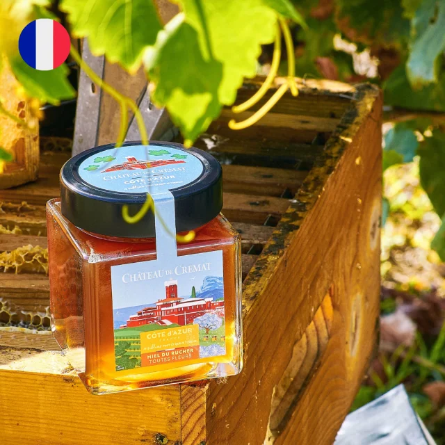 Design Sans Titre 59